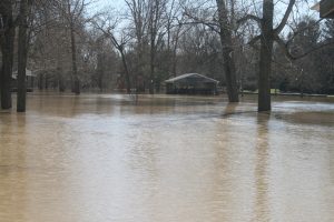 The Bachmayer Park side of the River Raisin was underwater. In the background, the Ricker Pavilion sits in deep water.