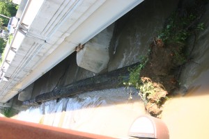 This tree slammed into the U.S. 223 road bridge mid-morning Sunday as the River Raisin flooded Ellis and Bachmayer parks. Copyright 2015, River Raisin Publications, Inc.